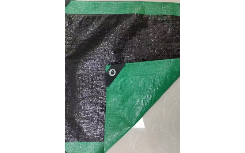 Grass Green / Black color